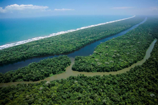 Национальный парк Тортугеро - Provincia di Limón | Secret World Trip Planner