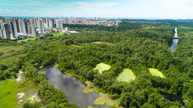 Státní park Cocó - Fortaleza - CE | Secret World Trip Planner