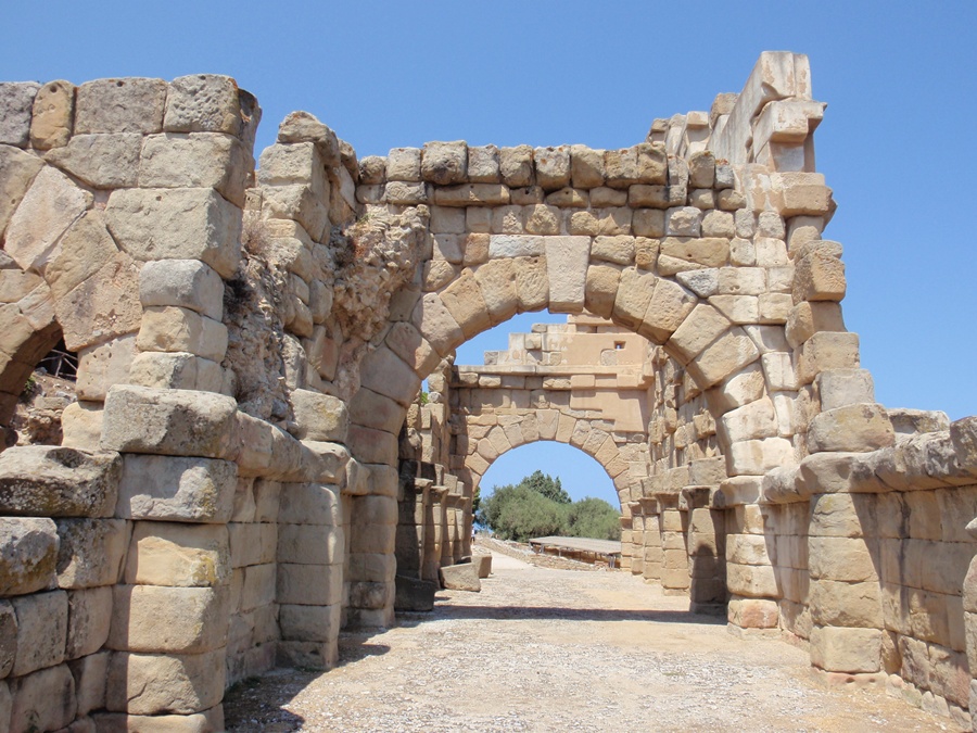 حديقة تينداري الأثرية