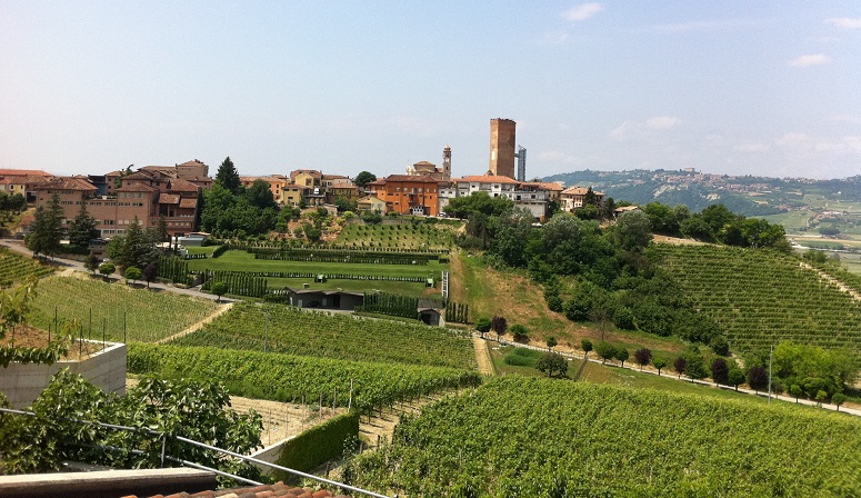 Top Wines od The World: Barbaresco
