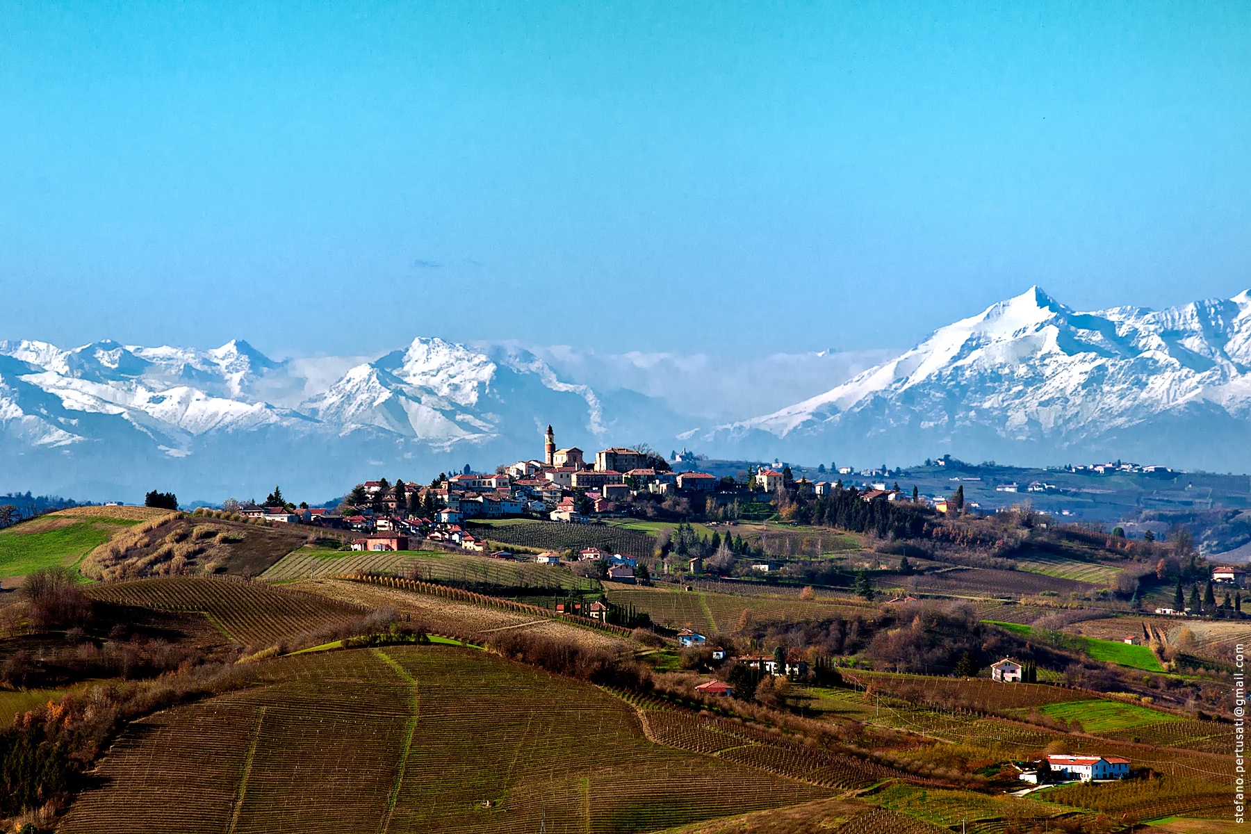 Top Wines od The World: Barbaresco
