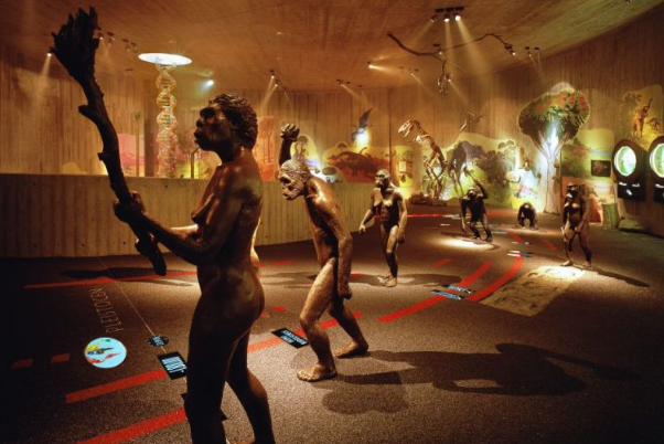 ネアンデルタール博物館 - Mettmann | Secret World Trip Planner