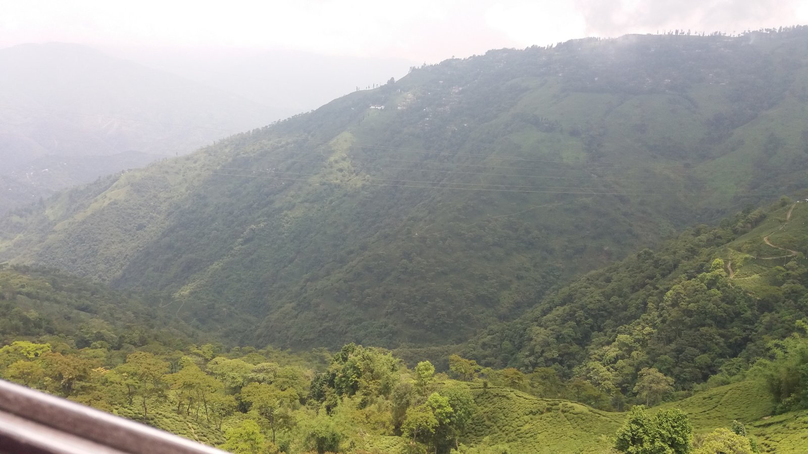 Darjeeling: het mekka van de thee - Darjeeling | Secret World Trip Planner