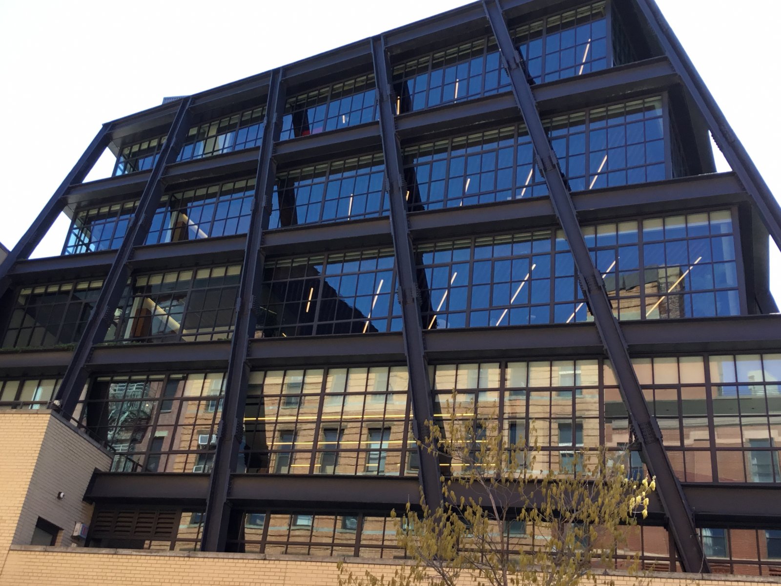 Pengemasan daging - New York | Secret World Trip Planner