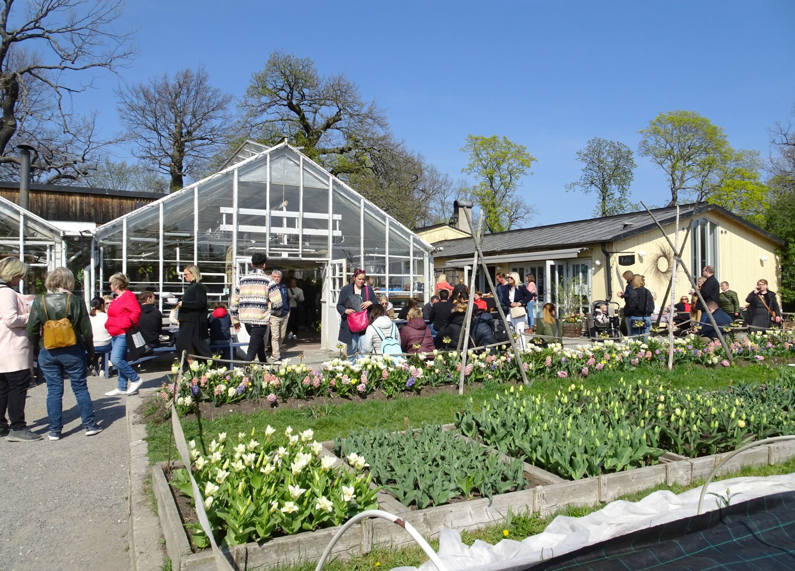 Rosendals Trädgård significa ‘Valle delle rose’ - Stoccolma | Secret World Trip Planner
