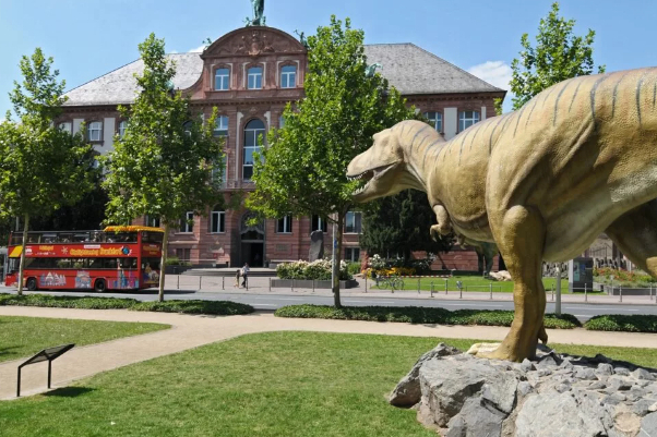 森肯贝格自然历史博物馆 - Frankfurt am Main | Secret World Trip Planner