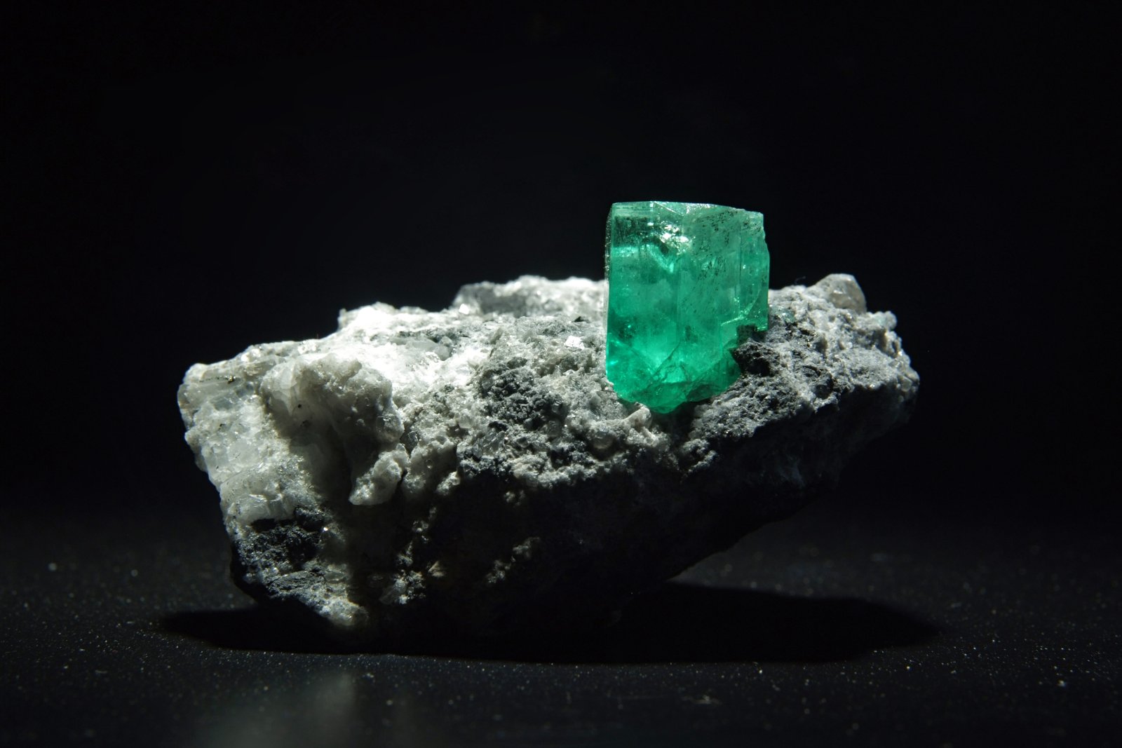 森肯贝格自然历史博物馆 - Frankfurt am Main | Secret World Trip Planner