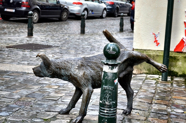 Zinneke Pis - čurājošais suns - Bruxelles | Secret World Trip Planner