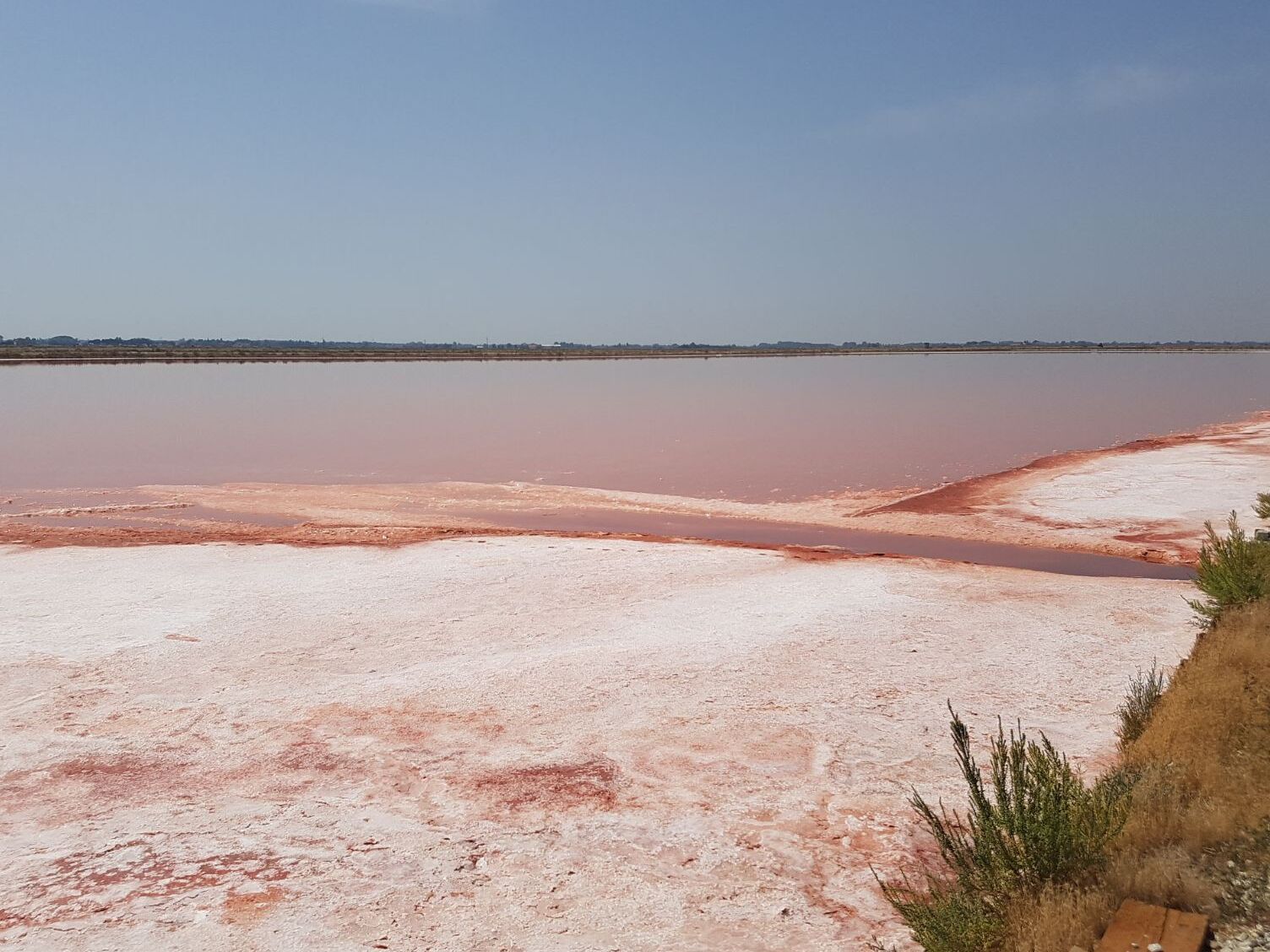 పురాతన Salina Camillone - Castiglione di Cervia | Secret World Trip Planner