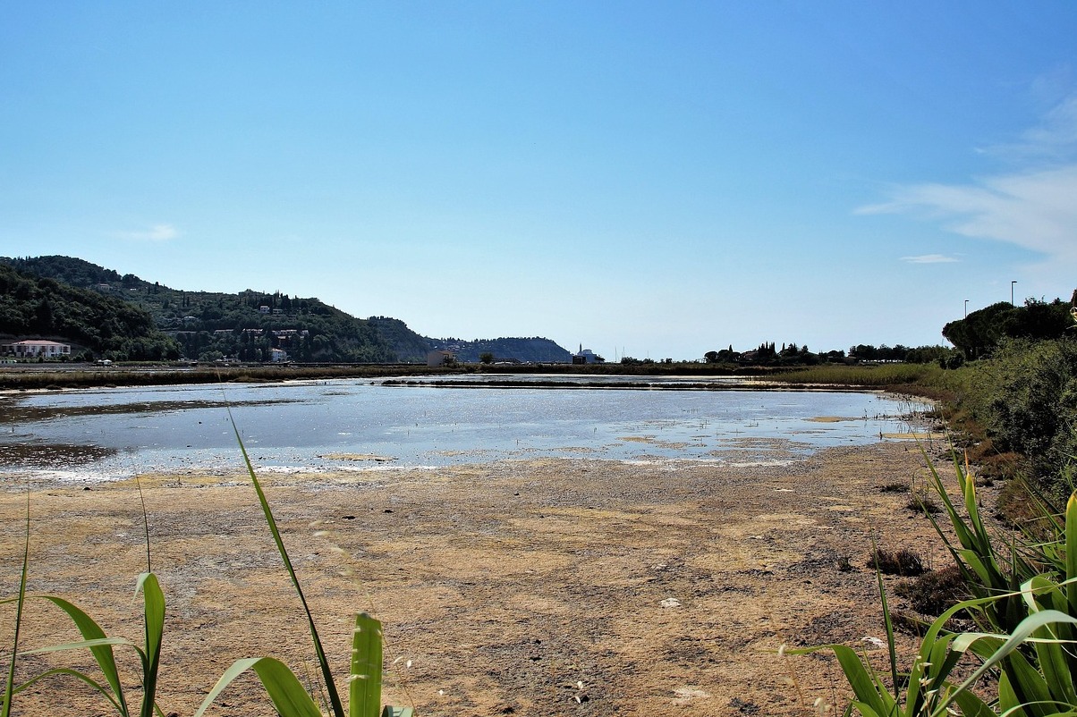 పురాతన Salina Camillone - Castiglione di Cervia | Secret World Trip Planner