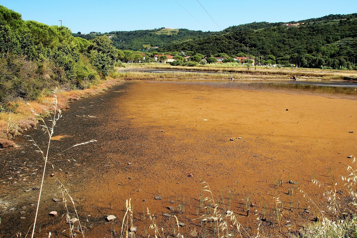 పురాతన Salina Camillone - Castiglione di Cervia | Secret World Trip Planner