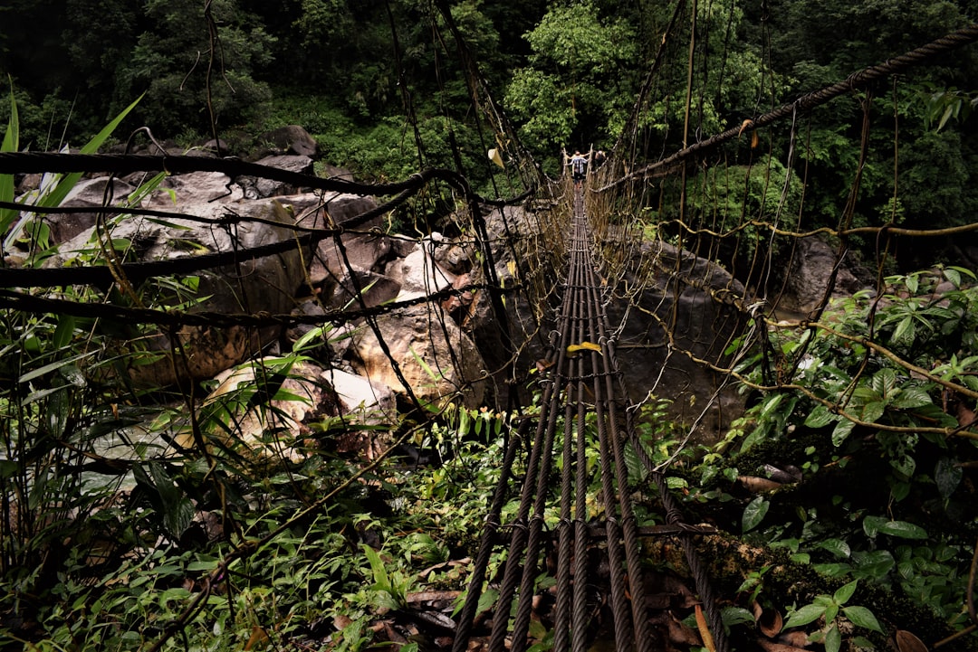 Levende Wortelbruggen van Meghalaya - Cherrapunji-Mawsynram Reserve Forest | Secret World Trip Planner