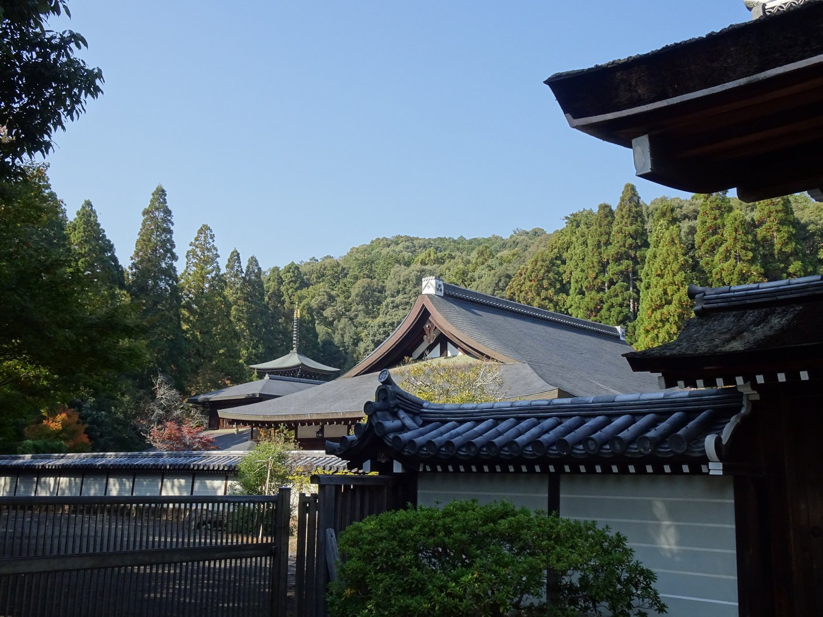 Kjoto: Vrt in tempelj Saihoji - Ky?to-shi | Secret World Trip Planner