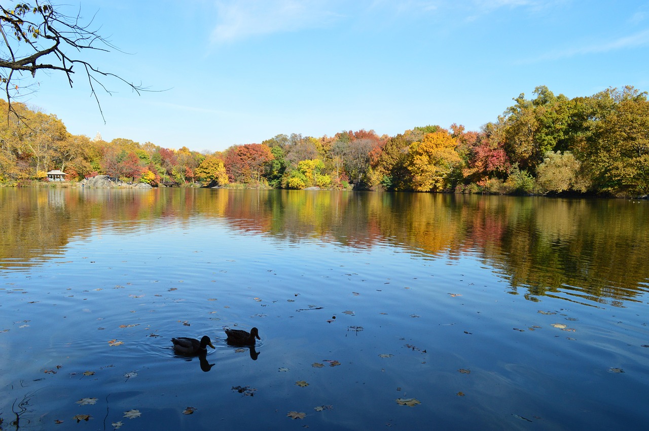 Parcul Central - New York | Secret World Trip Planner