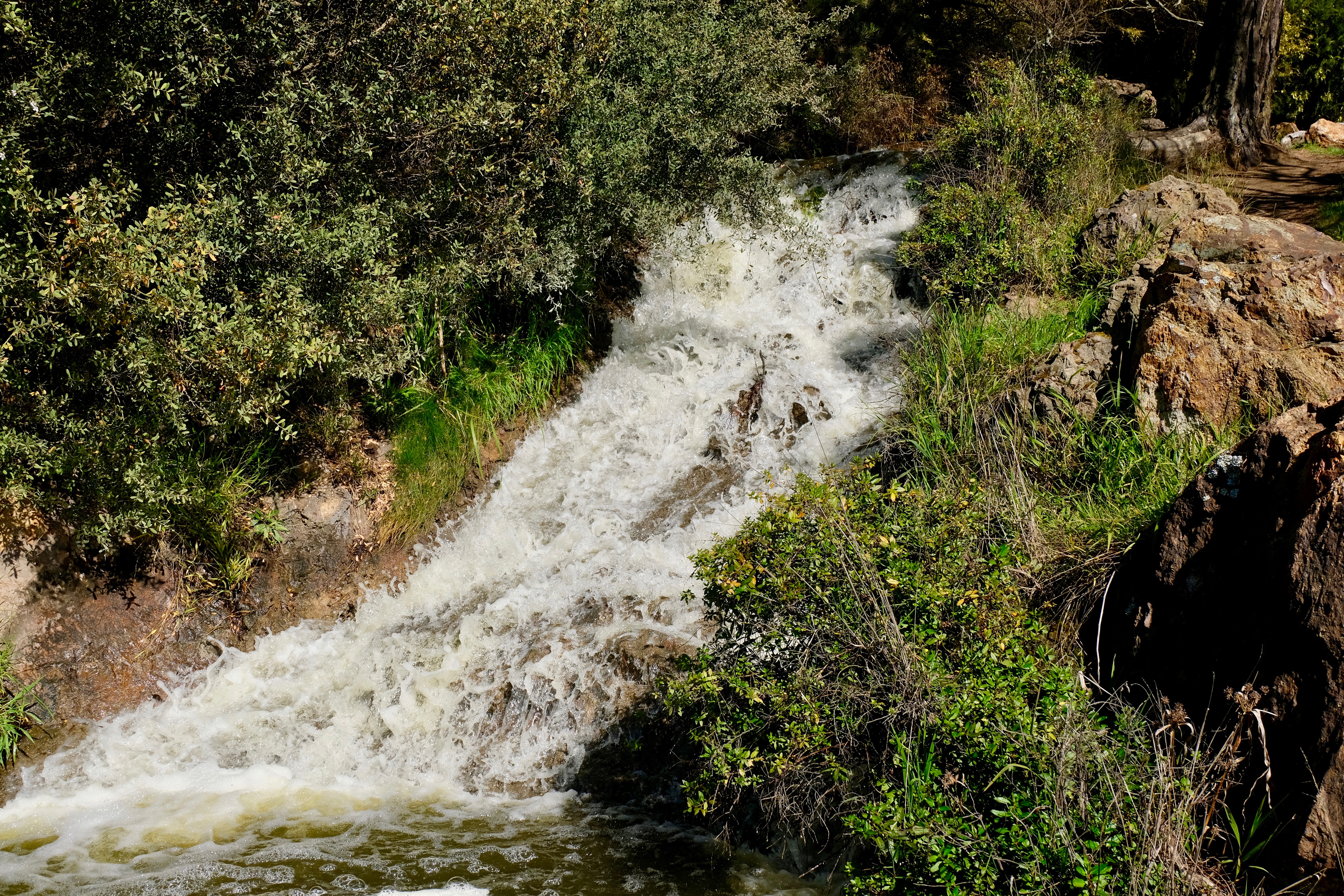 Taman Golden Gate di San Francisco - San Francisco | Secret World Trip Planner
