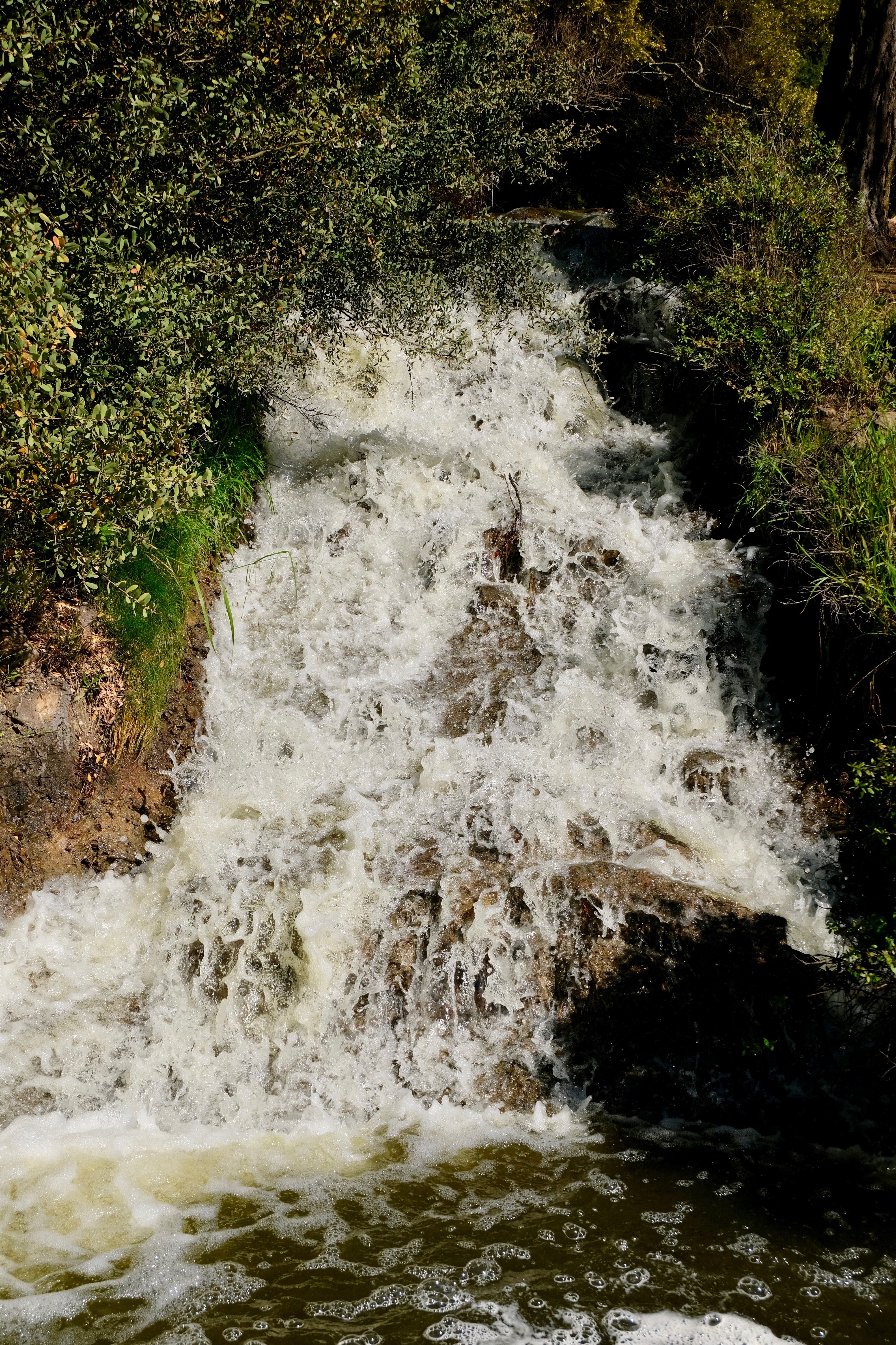 Taman Golden Gate di San Francisco - San Francisco | Secret World Trip Planner