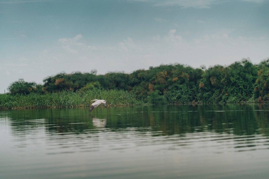 Lago Natron - I laghi più tranquilli dell'Africa
 | Secret World Trip Planner