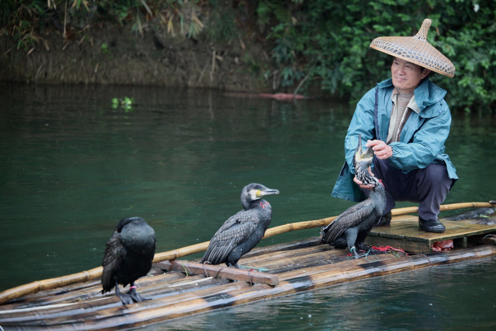 Skarvefiskeri er en traditionel fangstmetode - Guilin | Secret World Trip Planner