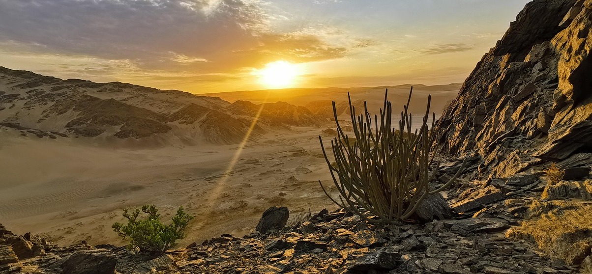 NAMIBIA: DÄR HAVET MÖTER ÖKNEN - Skeleton Coast | Secret World Trip Planner