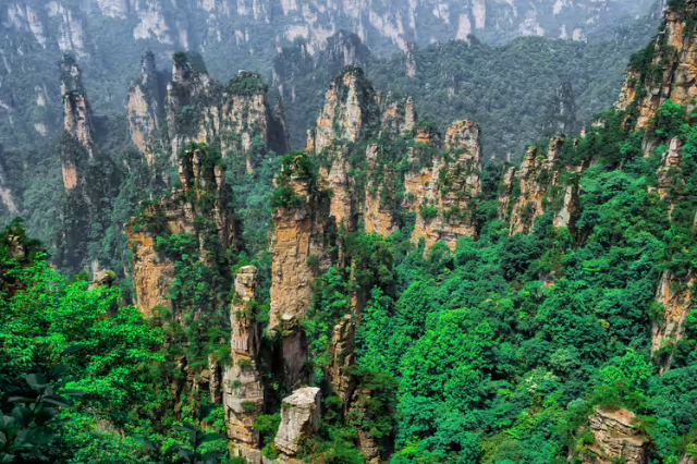 천지 산맥-'피크 숲의 군주' - Zhangjiajie | Secret World Trip Planner