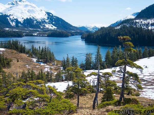 Prince William Sound na Aljaške - Prince William Sound | Secret World Trip Planner