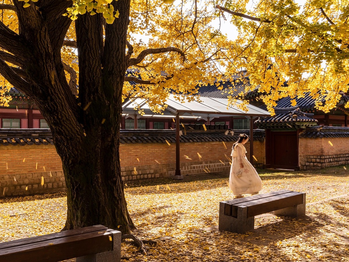 紫禁城 - Pechino | Secret World Trip Planner