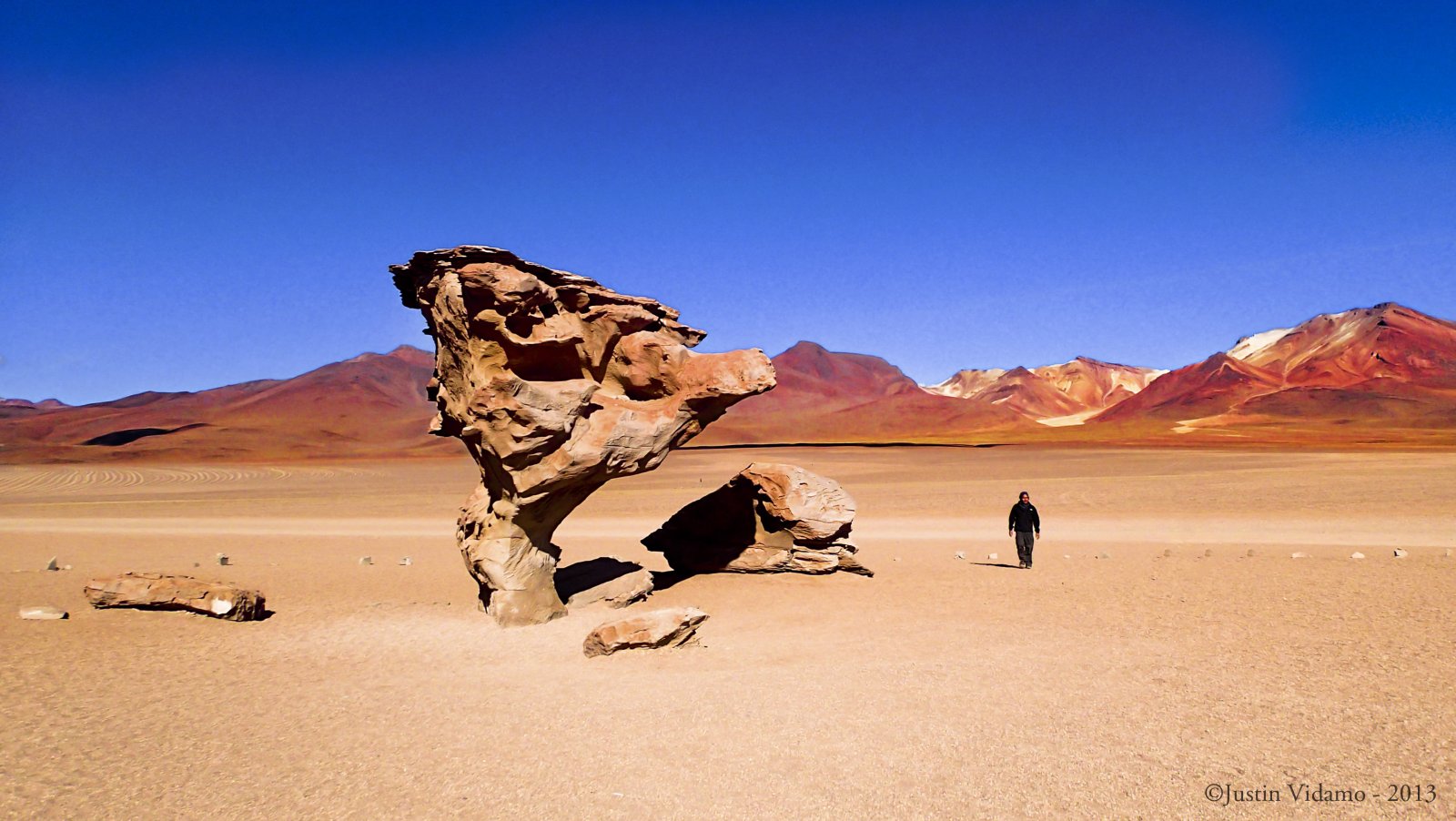 ボリビアの「石の木」（Árbol de Piedra - Provincia di Sud Lípez | Secret World Trip Planner