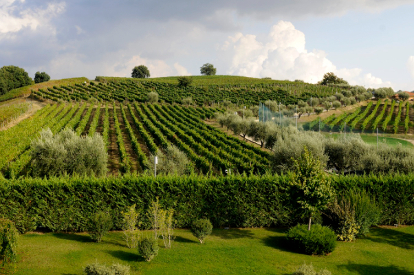 Klub golfowy Mirabella - Mirabella Eclano AV | Secret World Trip Planner