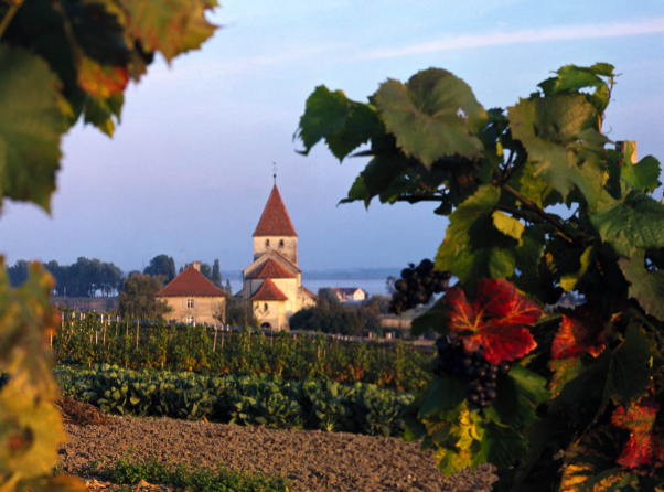 Reichenau saar Bodenjärvel - Reichenau | Secret World Trip Planner