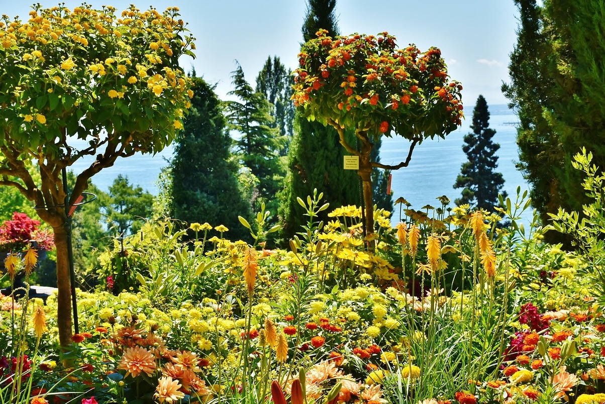 Mainau on saar Bodenjärves - Costanza | Secret World Trip Planner