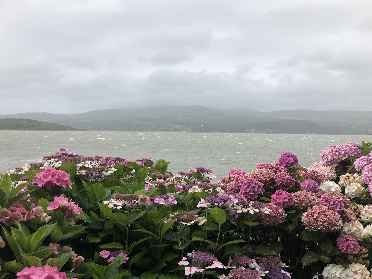 Portmeirion: how a naturally beautiful site can be developed without spoiling - Portmeirion | Secret World Trip Planner