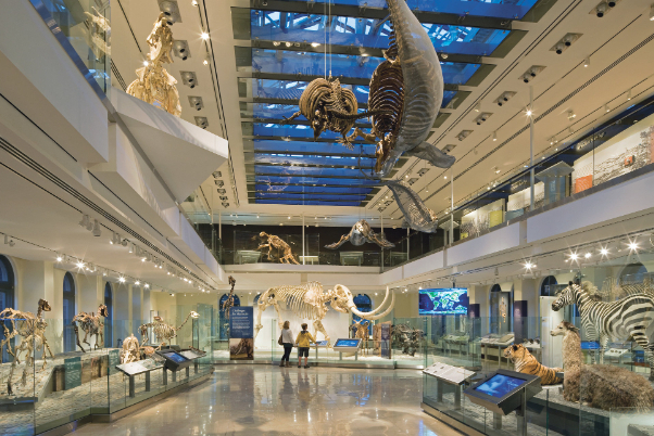 Muzeul de Istorie Naturală din Los Angeles - Los Angeles | Secret World Trip Planner