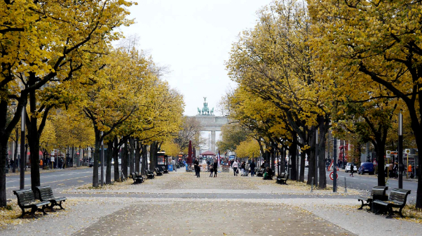 Linden is Berlin’s main thoroughfare - Berlin | Secret World Trip Planner