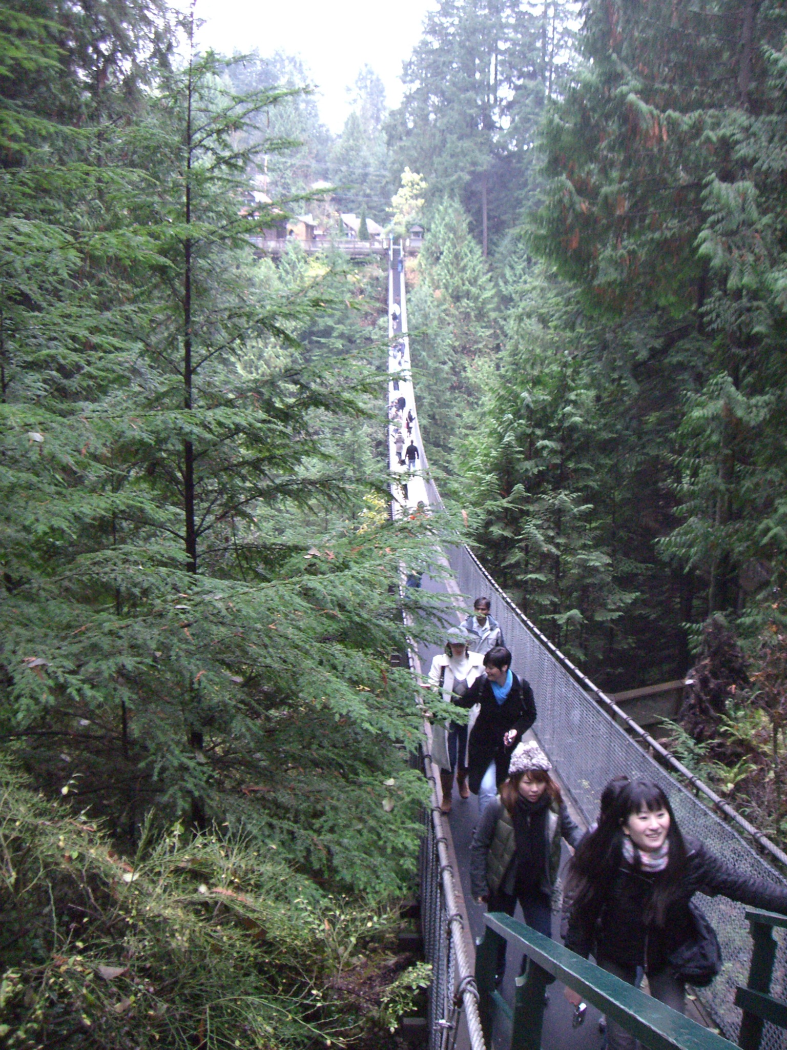 Vancouver-Capilano Hängbro - West Vancouver | Secret World Trip Planner
