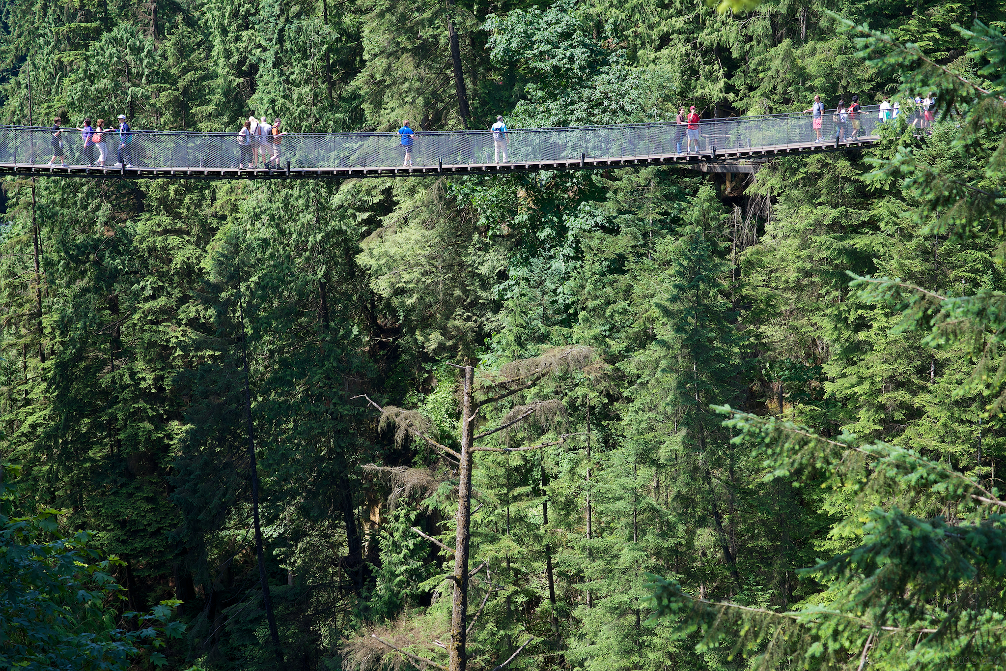 Vancouver-Capilano Hängbro - West Vancouver | Secret World Trip Planner