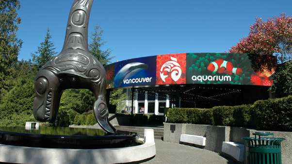 Vancouver Aquarium in Stanley Park - Vancouver | Secret World Trip Planner