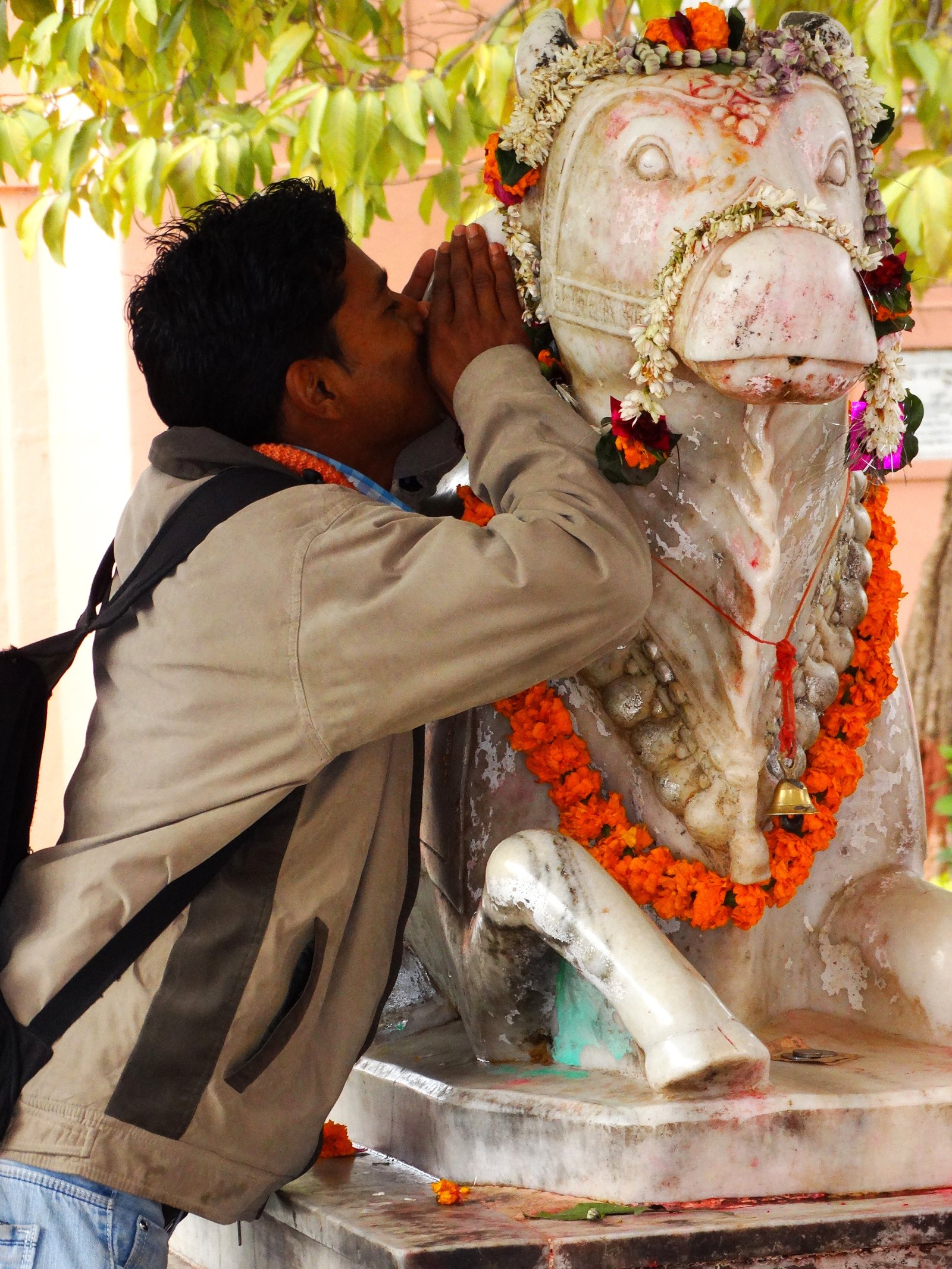 Banaras Hindu University - Varanasi | Secret World Trip Planner