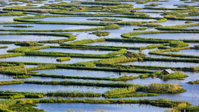 האיים הצפים של אגם לוקטק - Loktak Lake | Secret World Trip Planner