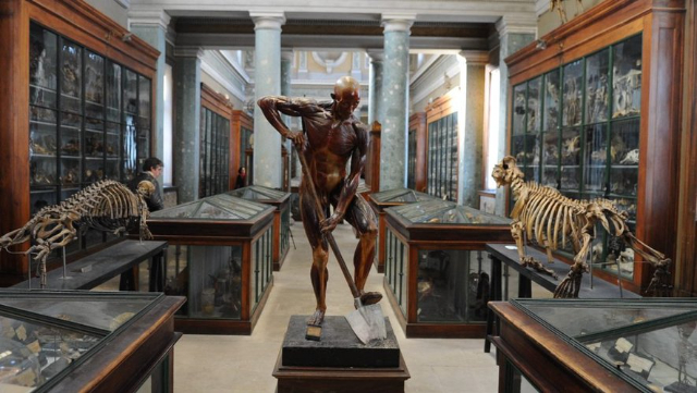 Anatomski muzej Montpellier - Montpellier | Secret World Trip Planner