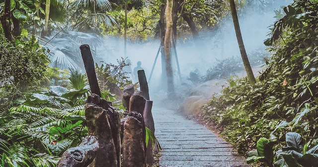 Rain Forest World - Xiamen | Secret World Trip Planner