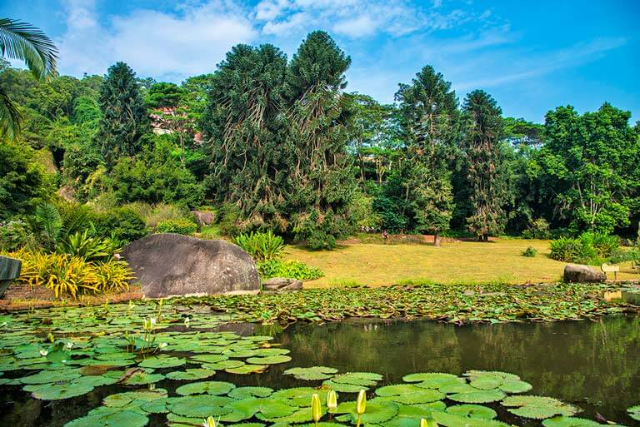 Rain Forest World - Xiamen | Secret World Trip Planner