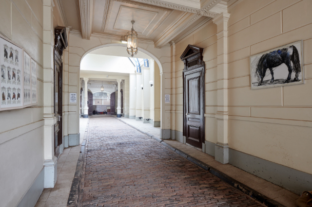 Holandako Izaldi Eskola - Amsterdam | Secret World Trip Planner