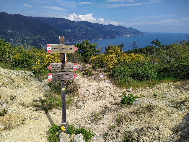 Promontorio di Punta Mesco - punta Mesco | Secret World Trip Planner