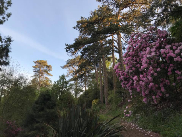 Parc de la Fauconnière "Jardin Favier" - Cherbourg-en-Cotentin | Secret World Trip Planner
