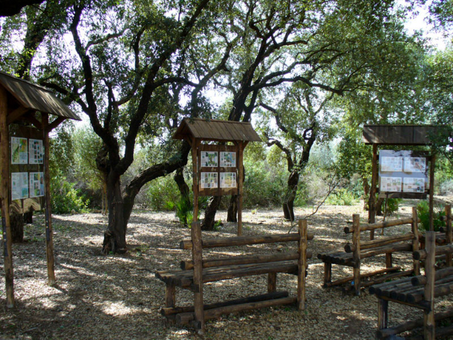 Bosco di Santo Pietro - Bosco di Santo Pietro | Secret World Trip Planner