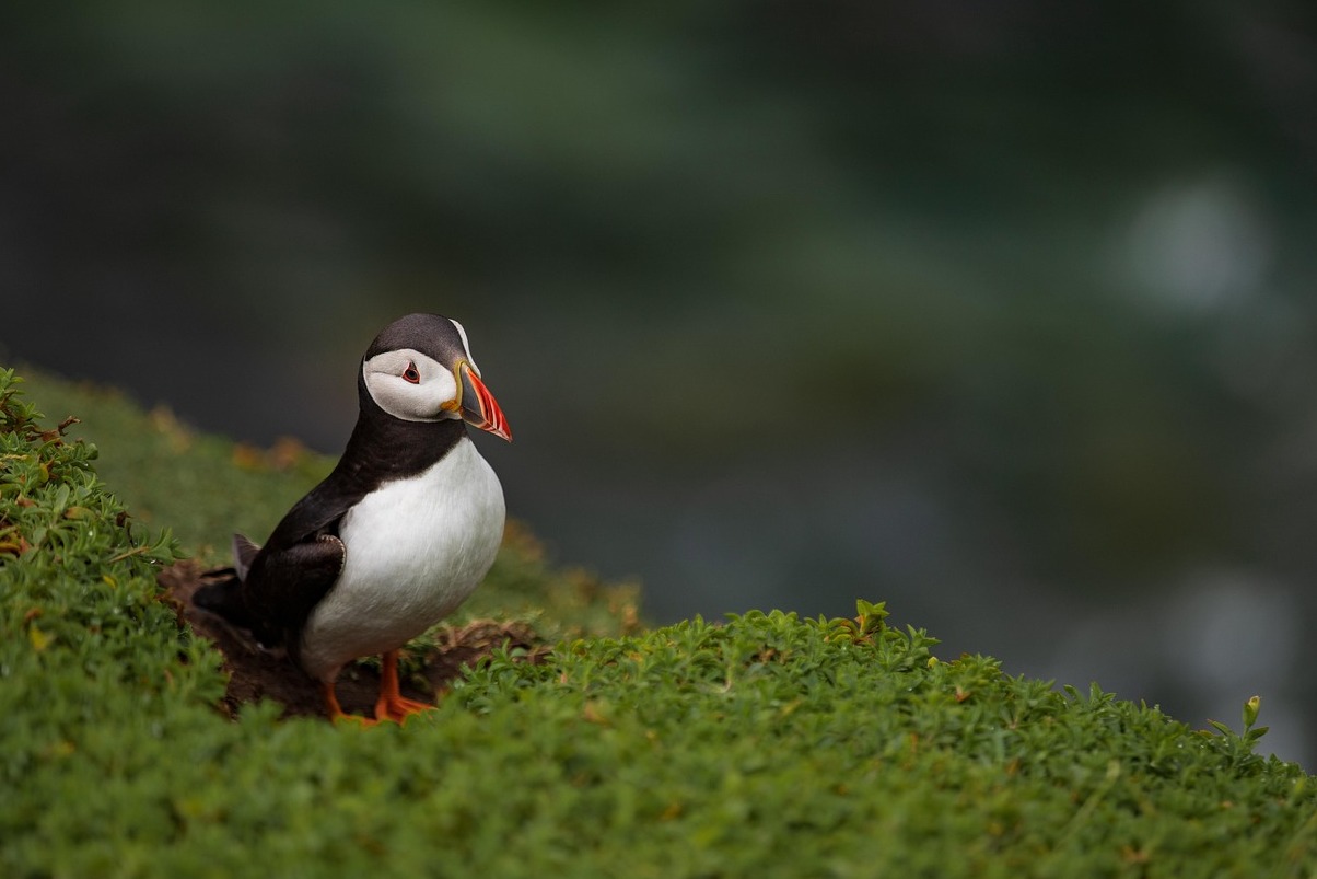 The beautiful Achill Island in Ireland - Achill Island | Secret World Trip Planner