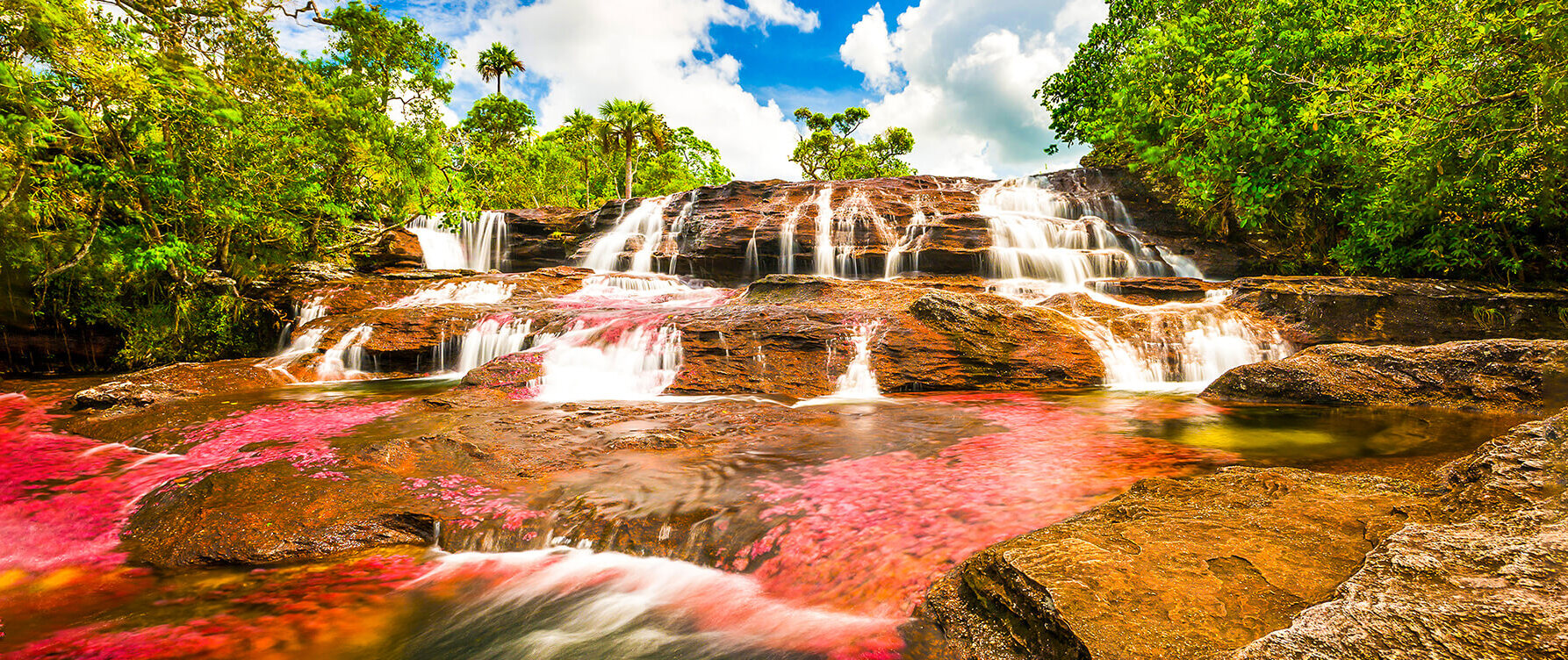 Cano Cristales-הנהר של חמישה צבעים (קולומביה ) - Caño Cristales | Secret World Trip Planner