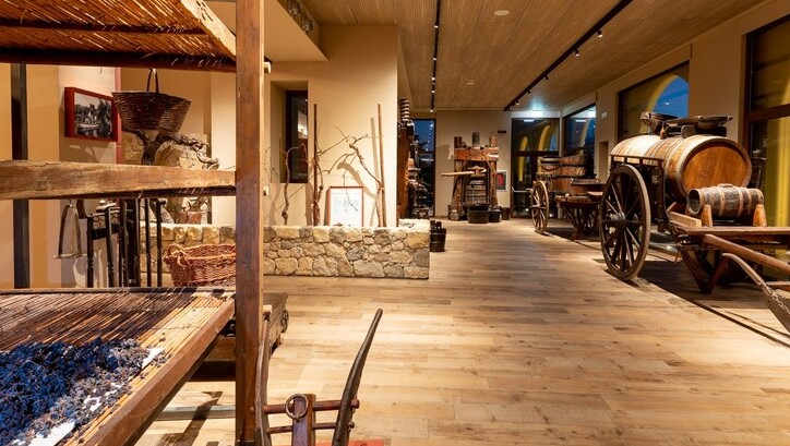 Discover Bardolino Wine Museum: Heritage of Lake Garda