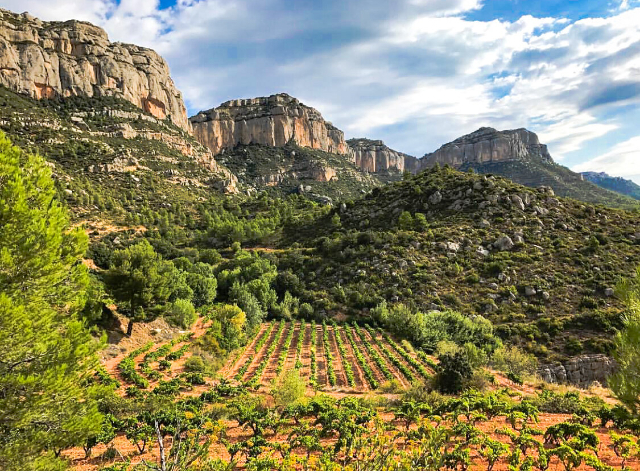 Eu vin do Priorat - Priorat | Secret World Trip Planner