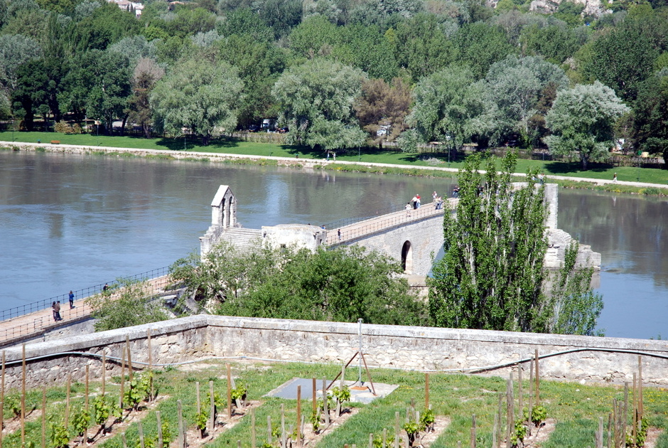 Rocher des ఎదురుగా, సైట్ యొక్క ఆవినాన్ యొక్క ప్రారంభ సెటిల్మెంట్ - Avignon | Secret World Trip Planner